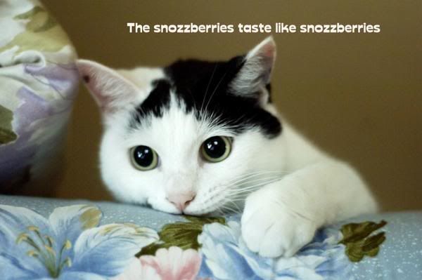 snozzberries.jpg