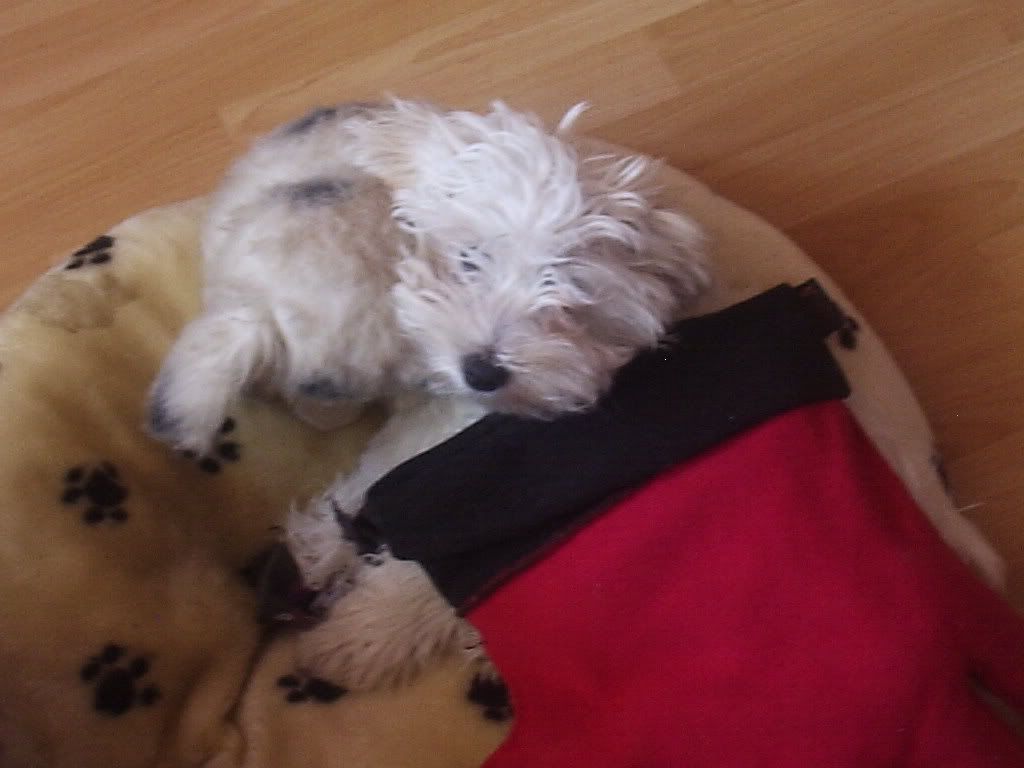 Photobucket - Video and Image Hosting