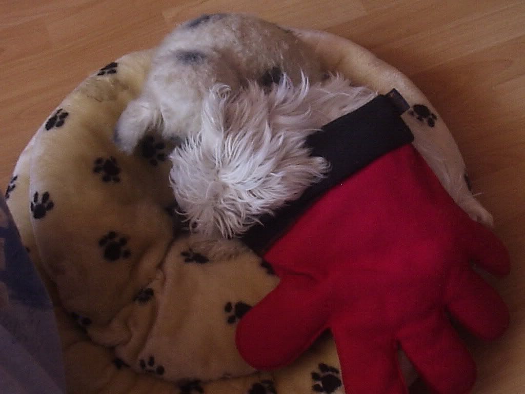 Photobucket - Video and Image Hosting