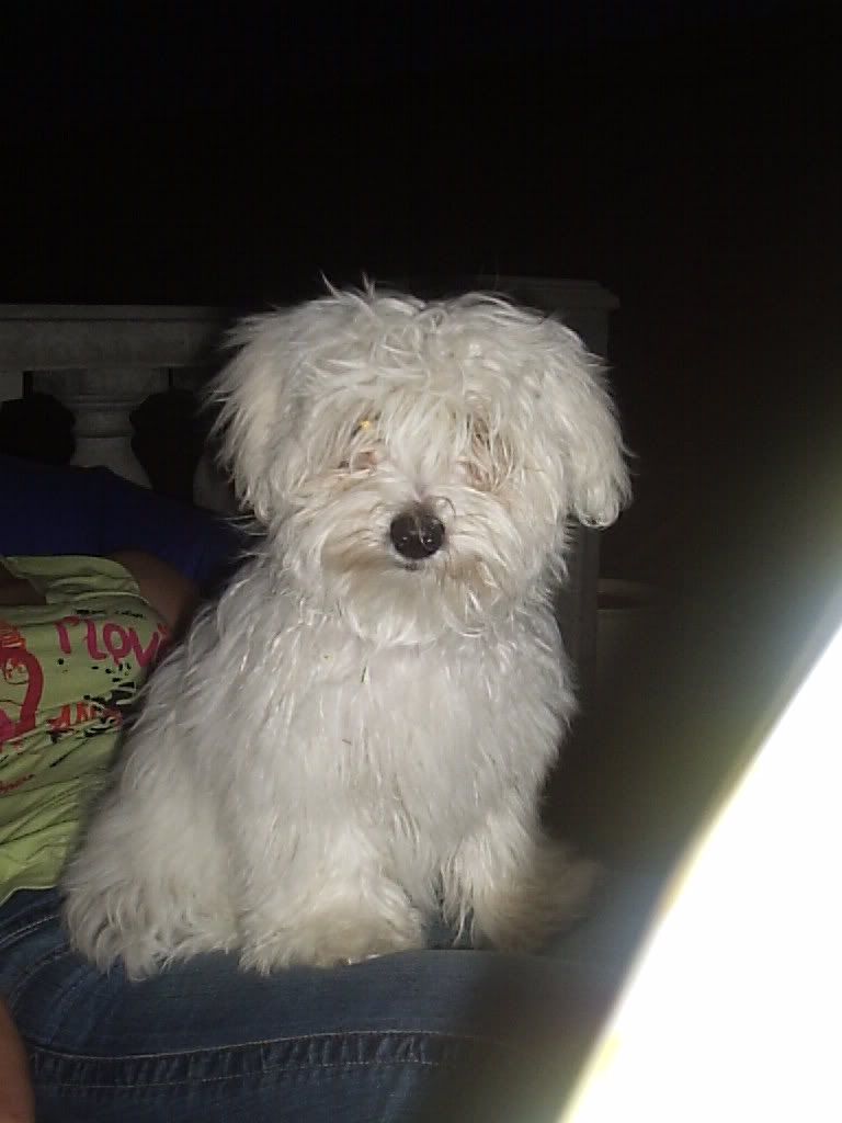 Photobucket - Video and Image Hosting