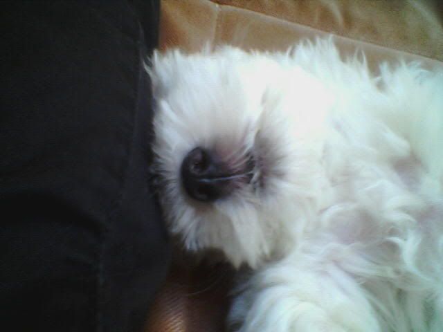 Image hosting by Photobucket