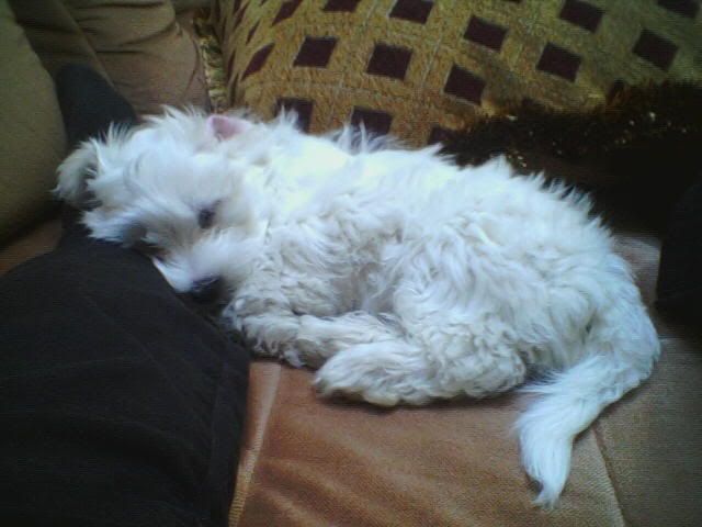 Image hosting by Photobucket