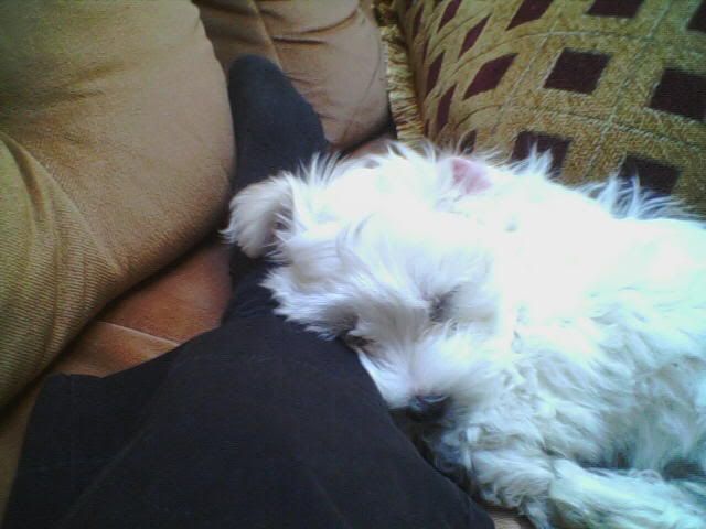 Image hosting by Photobucket