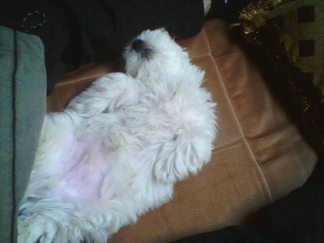 Image hosting by Photobucket