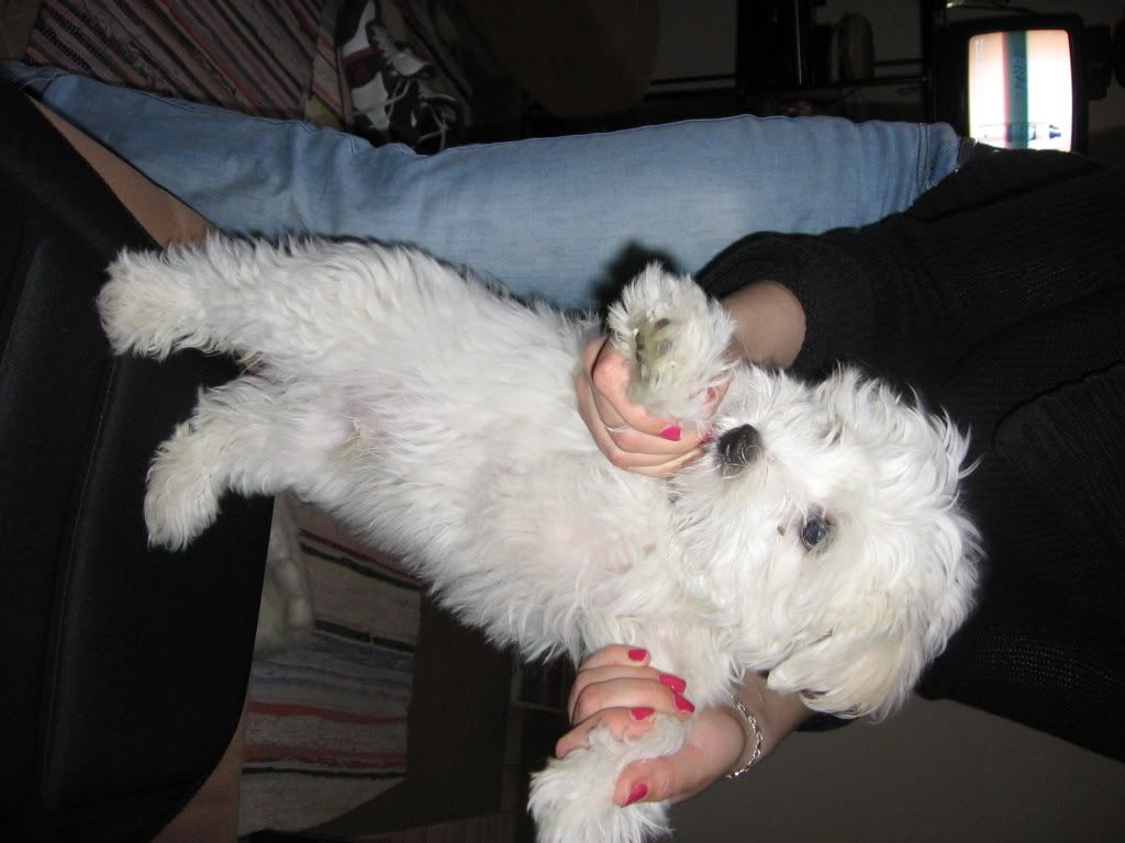 Photobucket - Video and Image Hosting