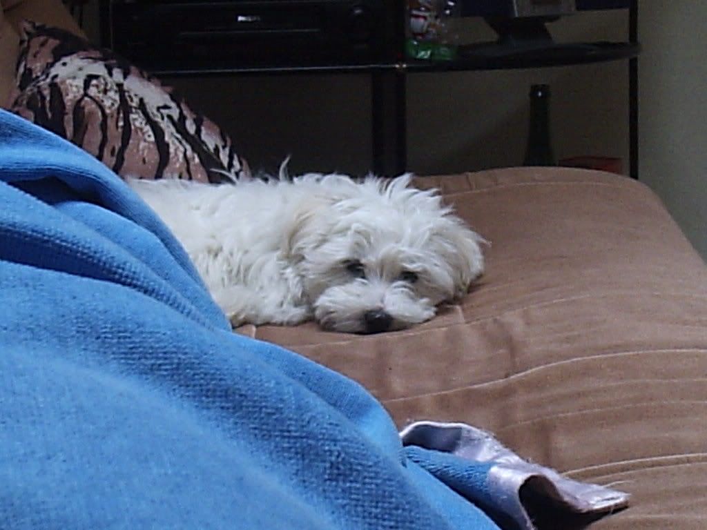 Photobucket - Video and Image Hosting