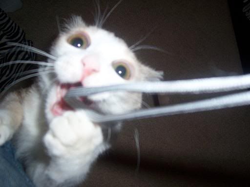 Photobucket - Video and Image Hosting