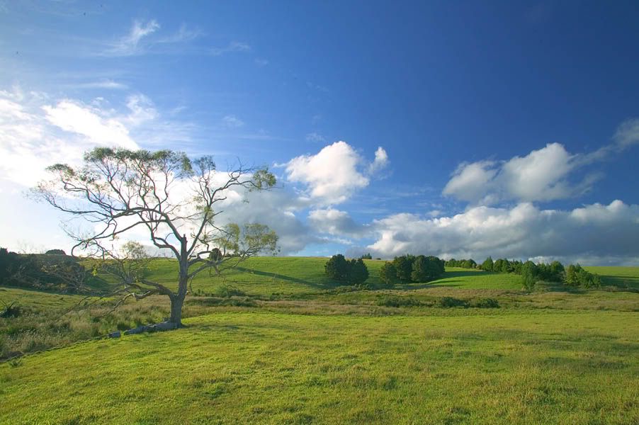 NewZealand18.jpg new zealand image by tripe4lunch