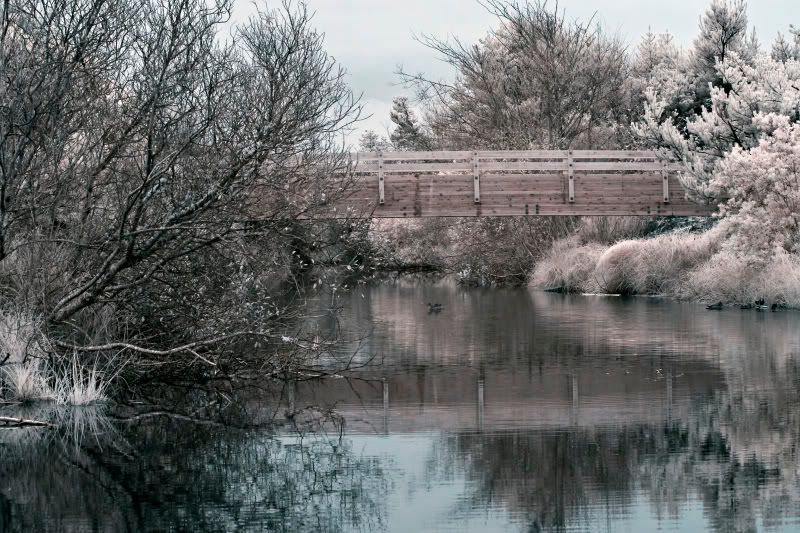 IMAGE: http://i37.photobucket.com/albums/e70/bmw5er/IR%20Pics/IROceanPark_1.jpg