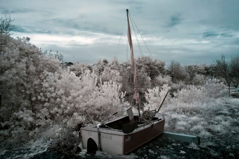 IMAGE: http://i37.photobucket.com/albums/e70/bmw5er/IR%20Pics/IROceanPark_12.jpg