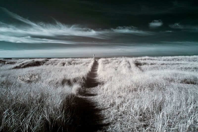 IMAGE: http://i37.photobucket.com/albums/e70/bmw5er/IR%20Pics/IROceanPark_17.jpg