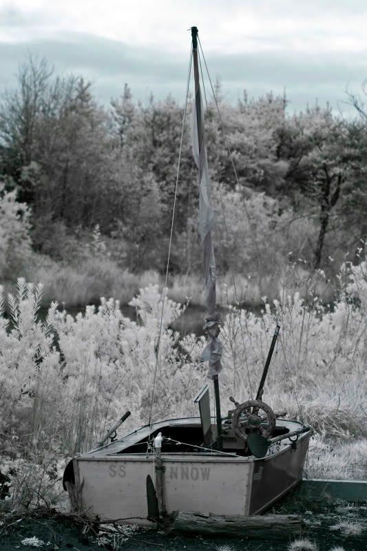 IMAGE: http://i37.photobucket.com/albums/e70/bmw5er/IR%20Pics/IROceanPark_3.jpg