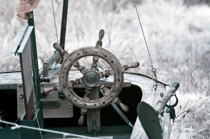 IMAGE: http://i37.photobucket.com/albums/e70/bmw5er/IR%20Pics/IROceanPark_5.jpg