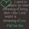 fallout boys song