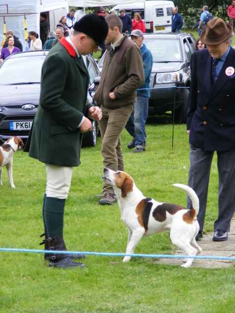 ConistonGameFair23rdJuly2012005.jpg
