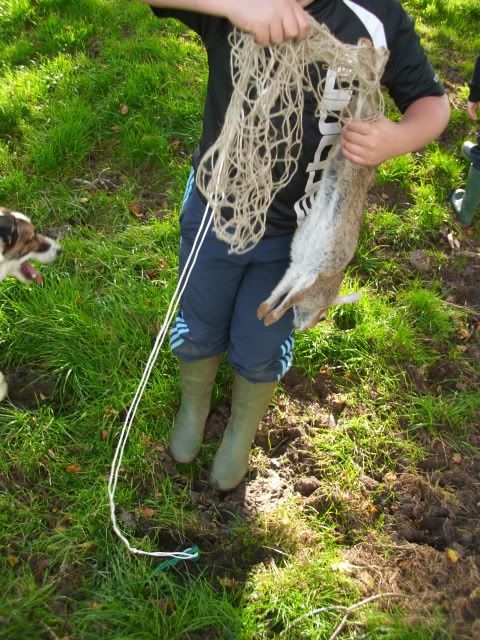 Ferreting016.jpg