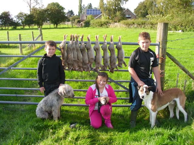 Ferreting019.jpg