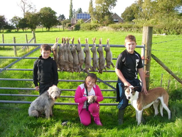 Ferreting021.jpg