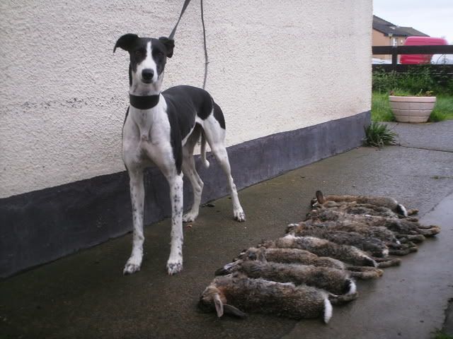 PICT0048.jpg