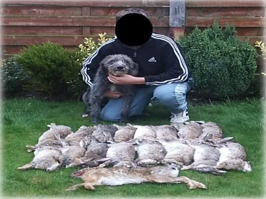 dee16rabbits1hare.jpg