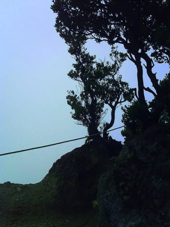 puncak gede