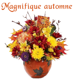 magnifique_automne-mlr.gif
