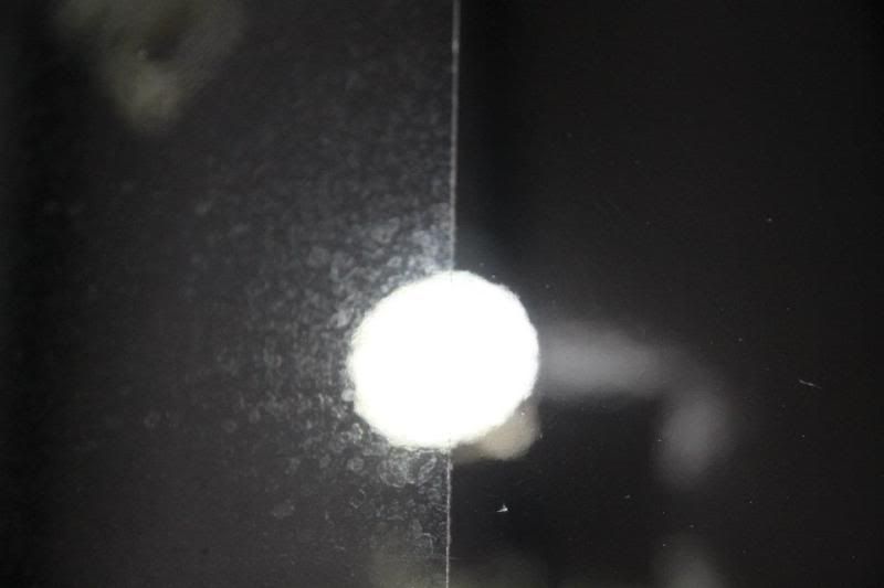 302447_10150401236501880_285946731879_8378142_155908123_n.jpg