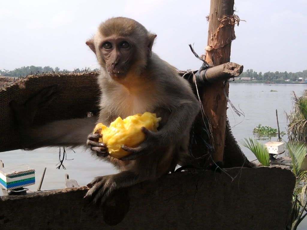 Gặp nhau cuối tuần  Club Tửu Lượng Vô Biên - 3