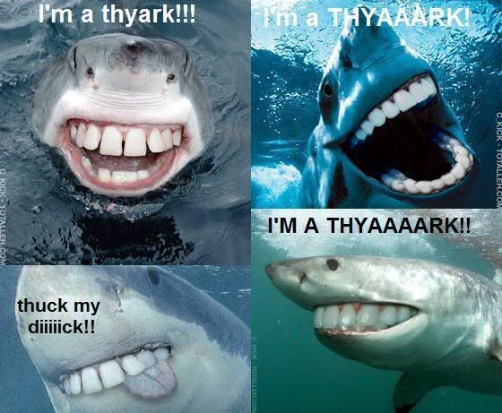 Shark.jpg