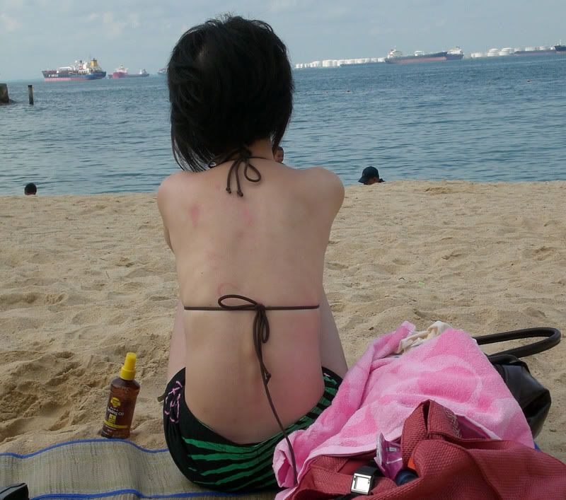 Photo Sharing and Video Hosting at Photobucket