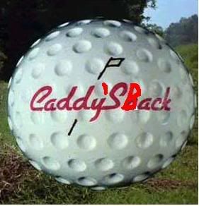 caddysback.jpg