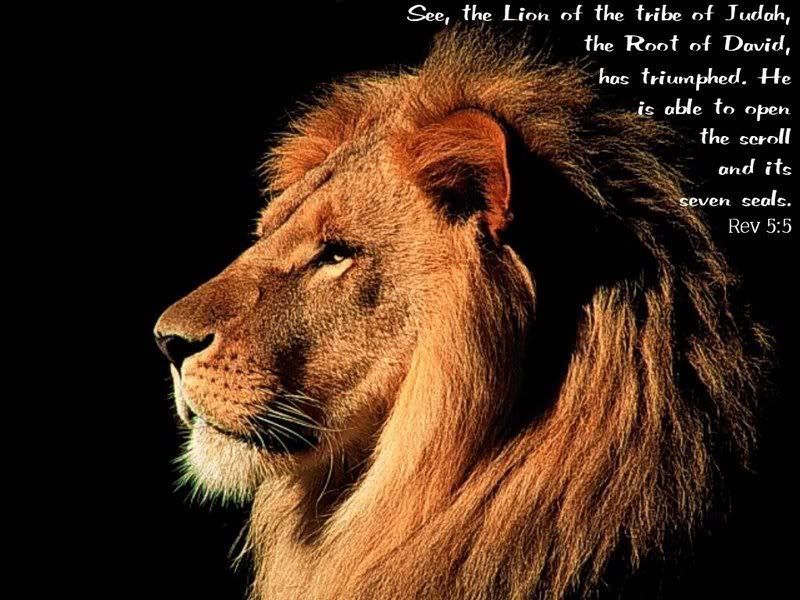 lion_tribe_judah.jpg