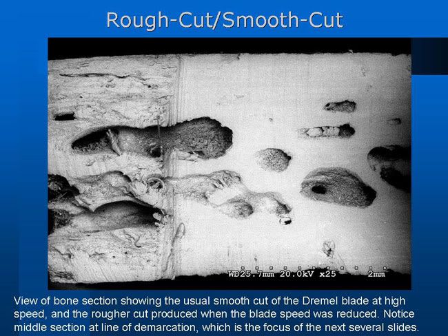 ROUGH N SMOOTH CUTS STARCHILD BONE