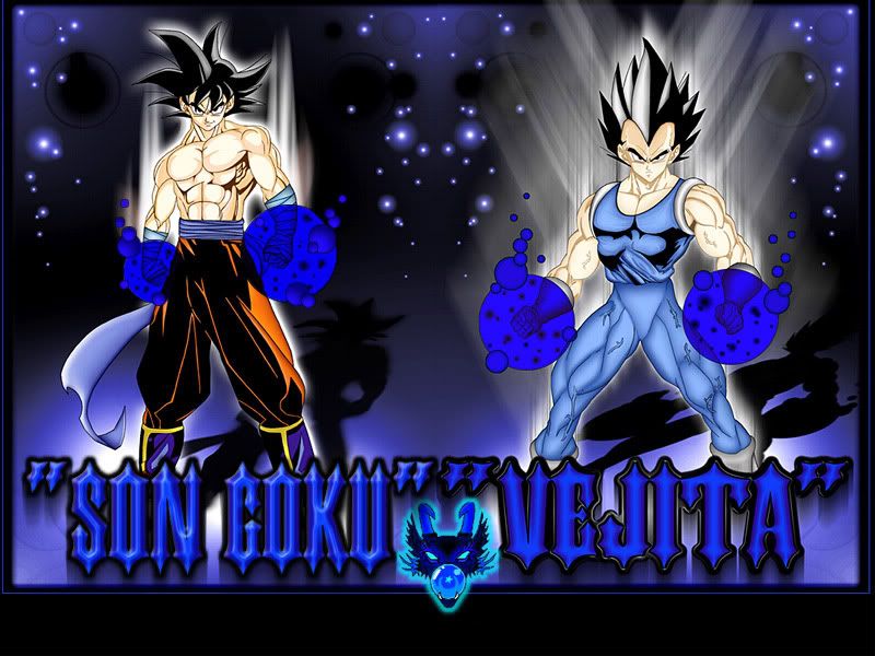 goku and vegeta. Goku and Vegeta Image