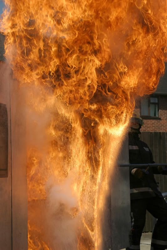 IMAGE: http://i37.photobucket.com/albums/e81/IMARLOW/84AF78CA-FFCE-4E4A-B554-54B983191FA.jpg