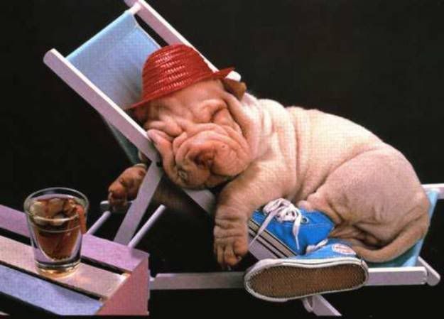 [img width=200 height=144]http://i37.photobucket.com/albums/e82/markjuh1980/www_Foto_Plaatjes_001.jpg[/img]