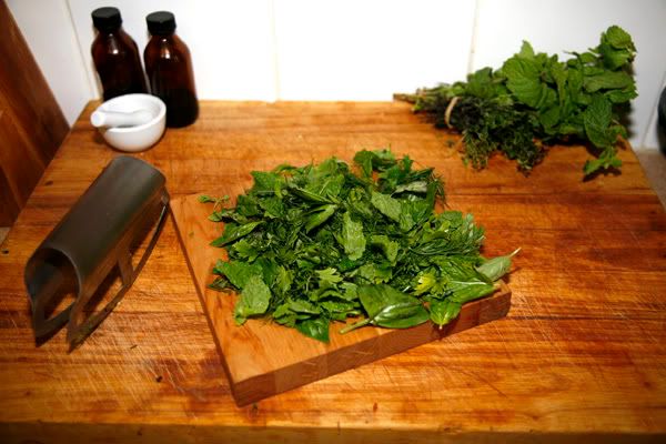 Herbs for Green Sauce