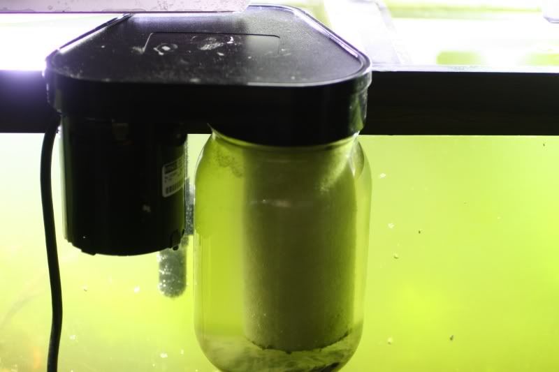 Problem with System 1 diatom filter Equipment Aquatic Plant Central