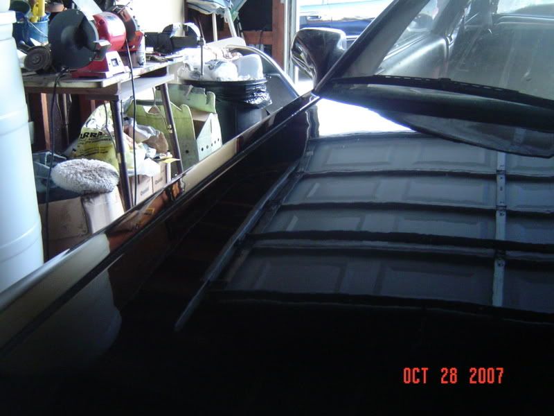 IPB Image