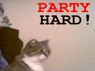 partyhard.gif