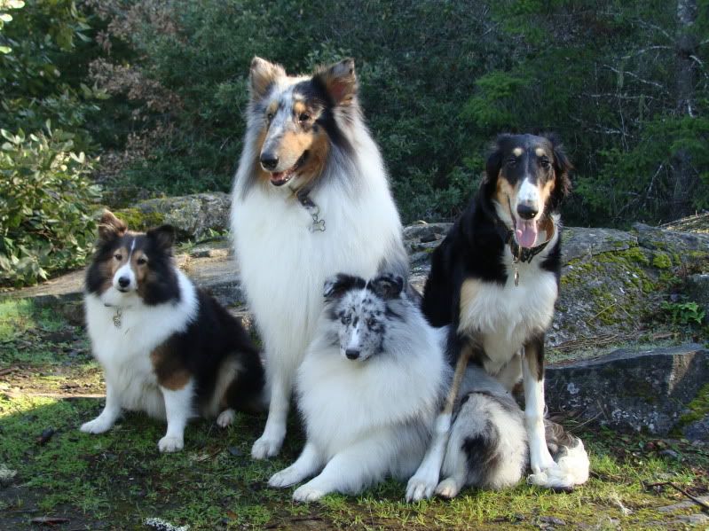 Group Shot January 2012 2
