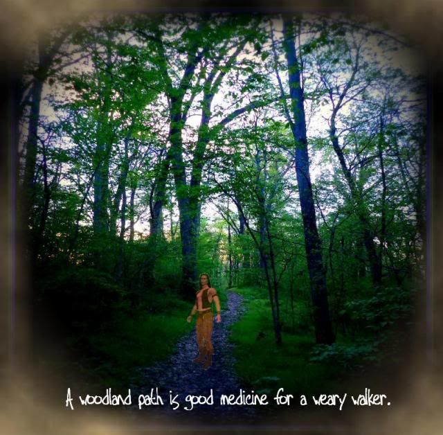 A woodland path is good medicine for a weary walker photo Awoodlandpathisgoodmedicineforawearywalker_zpsbe101a8e.jpg