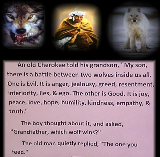 CHEROKEE SAYING