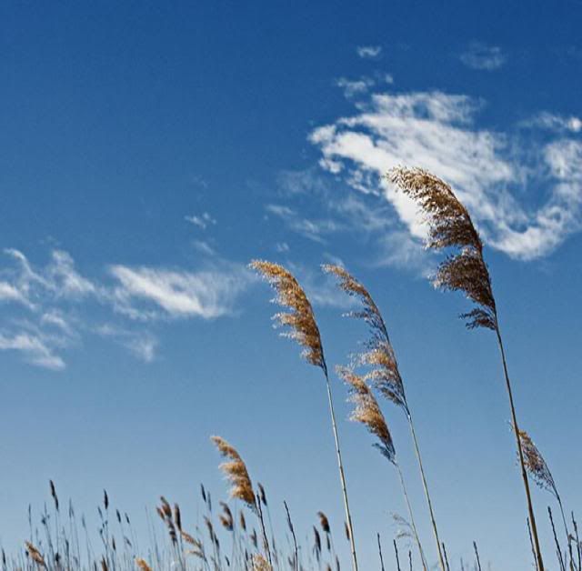 If the wind were a person photo wind_zpsc9ee4b68.jpg