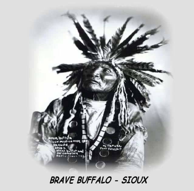 BRAVE BUFFALO - SIOUX 1