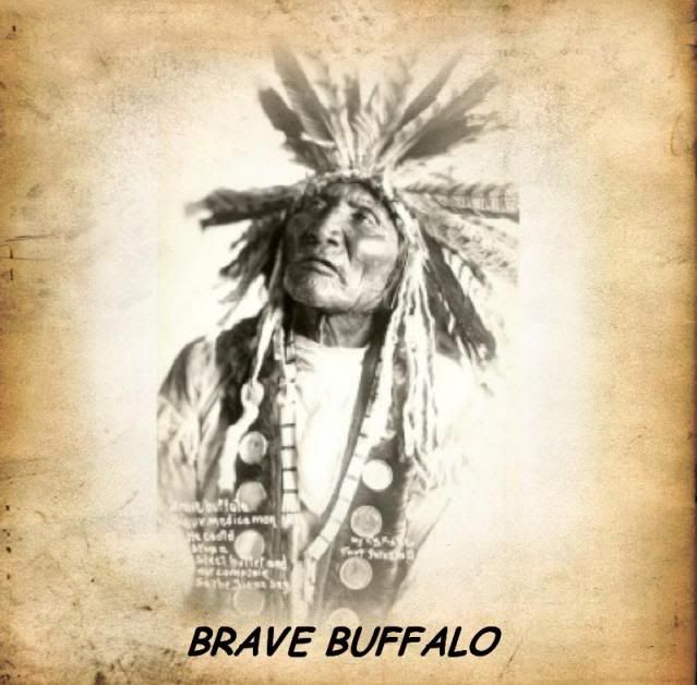 BRAVE BUFFALO - SIOUX