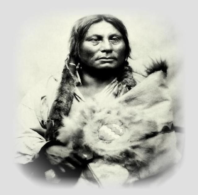 gall-hunkpapa-sioux