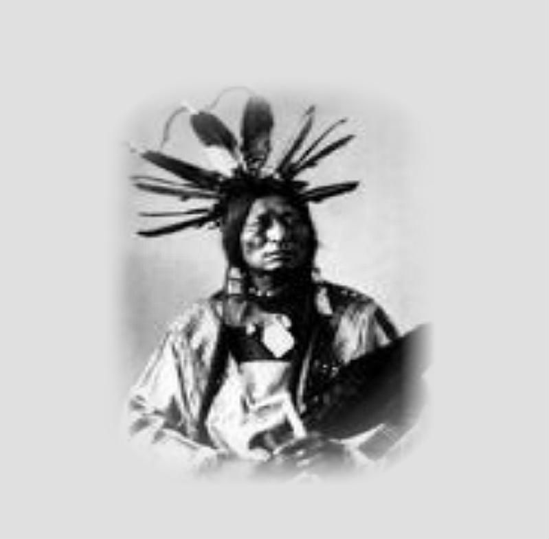 th_MANYHORSES-OGLALASIOUX1890
