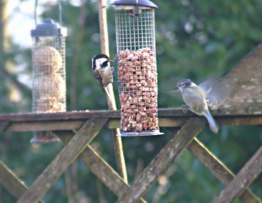 dce6ec59-f7e5-4da0-b967-28444cbb3729_zps