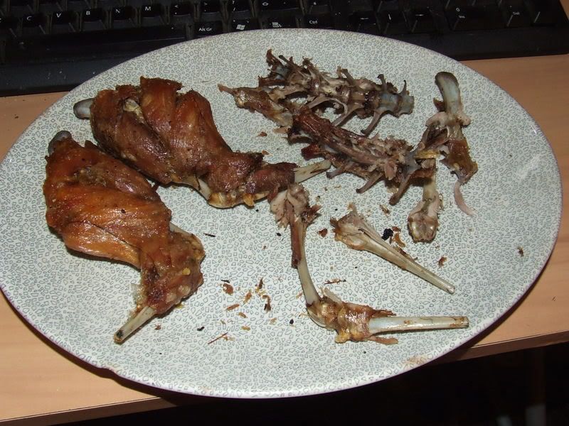 2008_0829rabbitfried0009.jpg